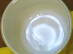 CSC_4466